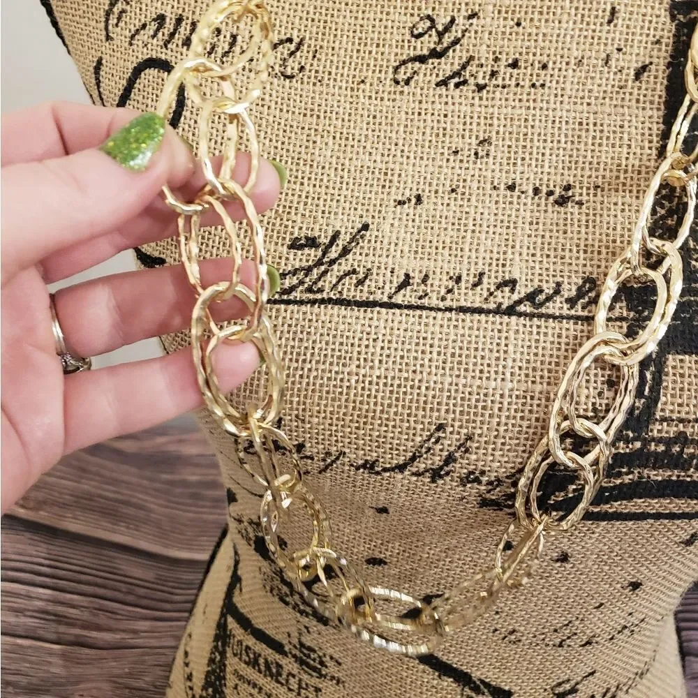 3 for $25 Christopher & Banks Chain Link Necklace